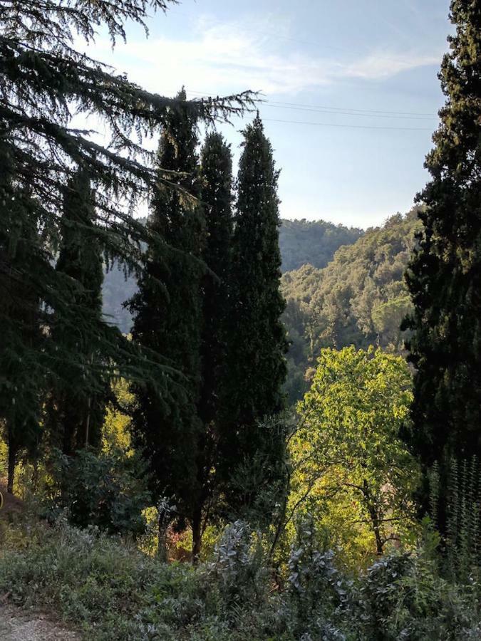 Agula Relais Camera Matrimoniale Pugnano Екстериор снимка